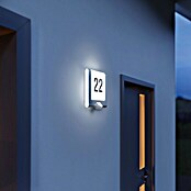 Steinel Vanjska LED svjetiljka (Snaga: 7,5 W, Boja kućišta: Plemeniti čelik, IP44)