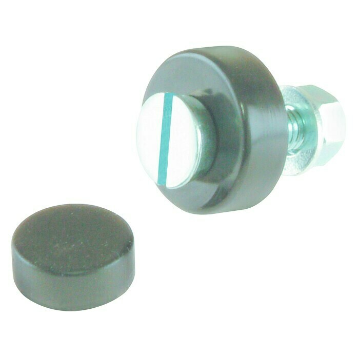 Stabilit Tornillo para letreros (Rosca: M5, Largo: 20 mm, Galvanizado)