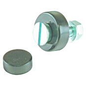 Stabilit Tornillo para letreros (Rosca: M5, Largo: 20 mm, Galvanizado)