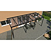 Terrassenüberdachung Light Edition (L x T: 700 x 250 cm, Polycarbonat, Anthrazitgrau, Klar)