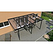 Terrassenüberdachung Light Edition (L x T: 600 x 300 cm, Polycarbonat, Anthrazitgrau, Klar)