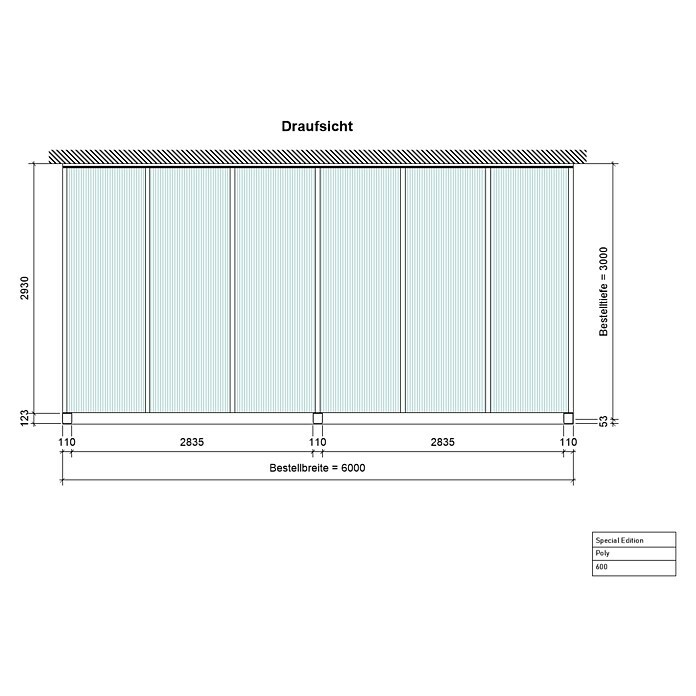 Terrassenüberdachung Special Edition (L x T: 600 x 300 cm, Polycarbonat, Anthrazitgrau, Opal)