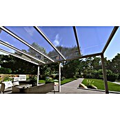 Terrassenüberdachung Light Edition (L x T: 600 x 300 cm, Polycarbonat, Verkehrsweiß, Klar)