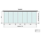 Terrassenüberdachung Light Edition (L x T: 700 x 250 cm, Polycarbonat, Anthrazitgrau, Klar)