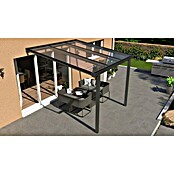 Terrassenüberdachung Light Edition (L x T: 300 x 250 cm, Polycarbonat, Anthrazitgrau, Klar)