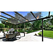 Terrassenüberdachung Light Edition (L x T: 600 x 300 cm, Polycarbonat, Anthrazitgrau, Klar)