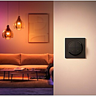 Philips Hue Lichtsteuerung Tap Dialswitch (6 x 6 x 2 cm, Smart Home-fähig: Ja, Schwarz, Dimmbar)