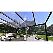 Terrassenüberdachung Light Edition (L x T: 500 x 300 cm, Polycarbonat, Anthrazitgrau, Klar)