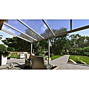 Terrassenüberdachung Light Edition (L x T: 500 x 250 cm, Polycarbonat, Verkehrsweiß, Klar)