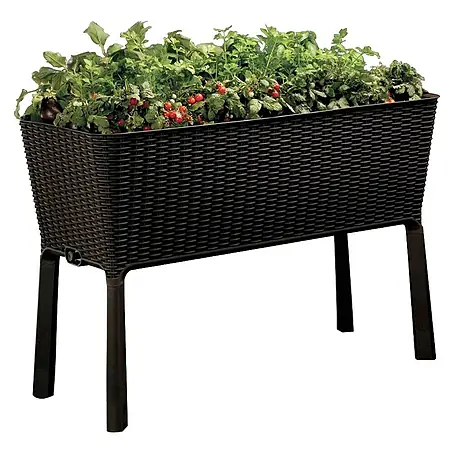 Keter  Huerto Easy Grow