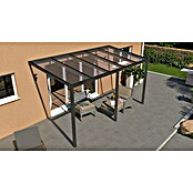 Terrassenüberdachung Light Edition (L x T: 500 x 250 cm, Polycarbonat, Anthrazitgrau, Klar)