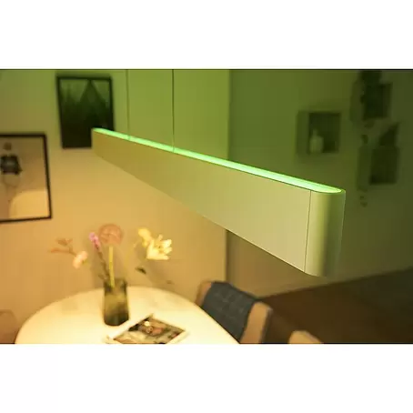 Philips Hue LED-Pendelleuchte White and Color Ambience Ensis