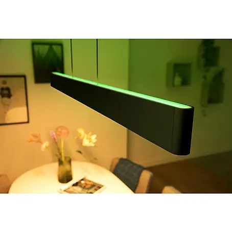 Philips Hue LED-Pendelleuchte White and Color Ambience Ensis