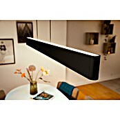 Philips Hue LED-Pendelleuchte Ensis (79 W, L x B x H: 129,9 x 4 x 157 cm, Schwarz, RGBW) | BAUHAUS