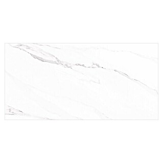Wandfliese Solo Calacatta (30 x 60 cm, Weiß, Glänzend)