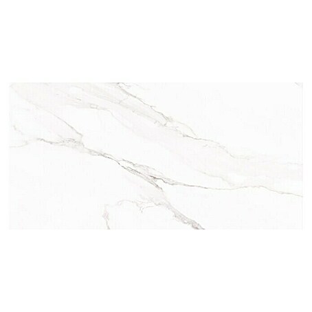 Wandfliese Solo Calacatta (30 x 60 cm, Weiß, Matt)