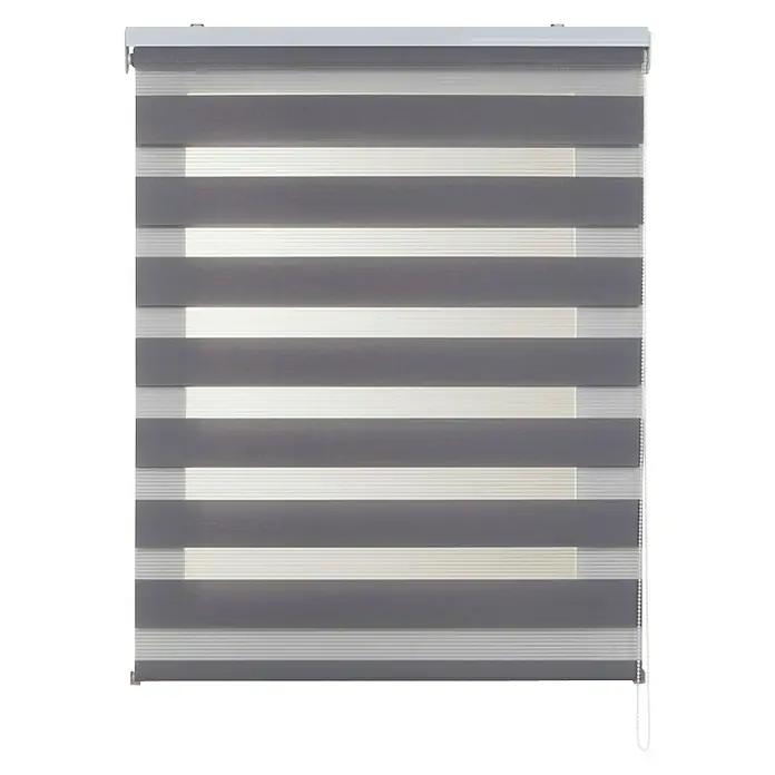 Estor noche y día Duolux - An x Al: 140 x 180 cm, Plateado - Estor enrollable doble gris con rayas alternas transparentes y opacas, que proporciona un control de luz flexible.