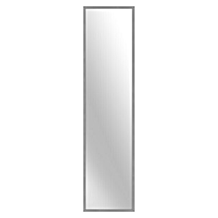 Rahmenspiegel Kerio (30 x 120 cm, Silber)