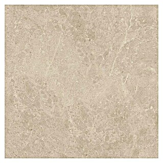 Terrassenfliese Botticino 2.0 (60 x 60 x 2 cm, Beige, Matt)