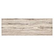 Pločica za terasu Garden Lightbrown 2.0  (39,7 x 119,7 x 2 cm, Svijetlosmeđa, Mat) | BAUHAUS