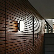 Lutec Aplique exterior LED Seco (1 luz, 13 W, Color de luz: Blanco cálido)