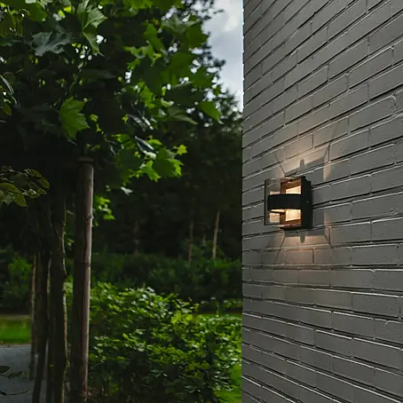 Lutec  Aplique exterior LED Delta