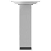 Element System Möbelfuß-Set Burgund (Ø x H: 30 x 100 mm, Traglast: 50 kg, Weiß/Aluminium, 4 Stk.)