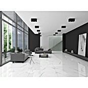 Feinsteinzeugfliese Marble Neo Cala (60 x 120 cm, Weiß/Silber, Glänzend) | BAUHAUS