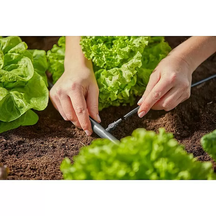 Gardena Micro-Drip Verlegerohr - Länge: 50 m, ½″ - Anwendungsbeispiel