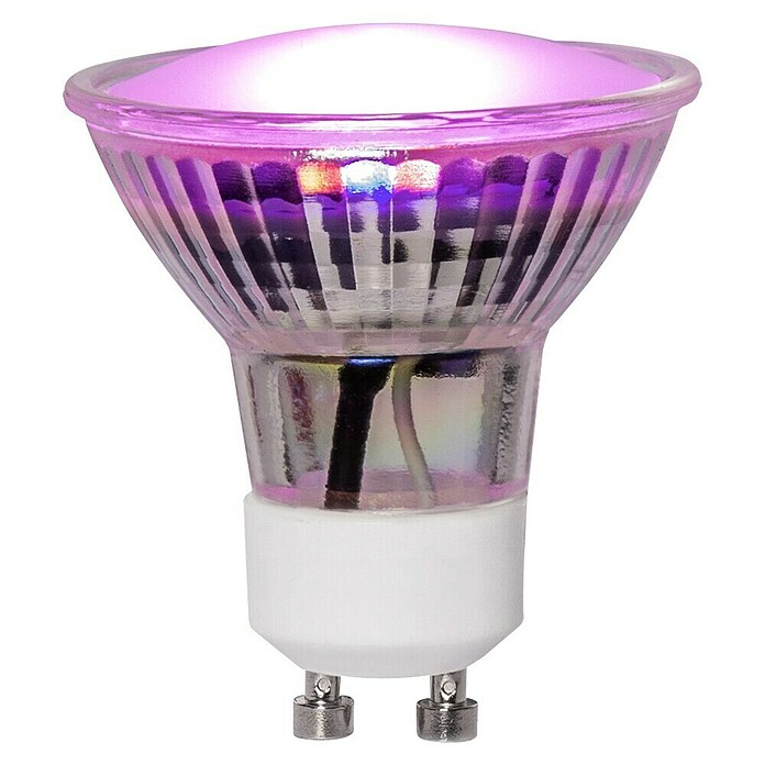 Lampe LED horticole