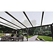 Terrassenüberdachung Special Edition (L x T: 600 x 350 cm, Polycarbonat, Anthrazitgrau, Opal)