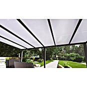 Terrassenüberdachung Special Edition (L x T: 600 x 300 cm, Polycarbonat, Anthrazitgrau, Opal)