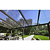 Terrassenüberdachung Special Edition (L x T: 600 x 300 cm, Polycarbonat, Anthrazitgrau, Klar)