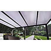 Terrassenüberdachung Special Edition (L x T: 500 x 300 cm, Polycarbonat, Anthrazitgrau, Opal)