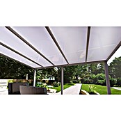 Terrassenüberdachung Special Edition (L x T: 500 x 350 cm, Polycarbonat, Verkehrsweiß, Opal)