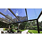 Terrassenüberdachung Special Edition (L x T: 500 x 350 cm, Polycarbonat, Anthrazitgrau, Klar)