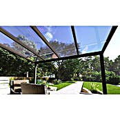 Terrassenüberdachung Special Edition (L x T: 400 x 350 cm, Polycarbonat, Anthrazitgrau, Klar)