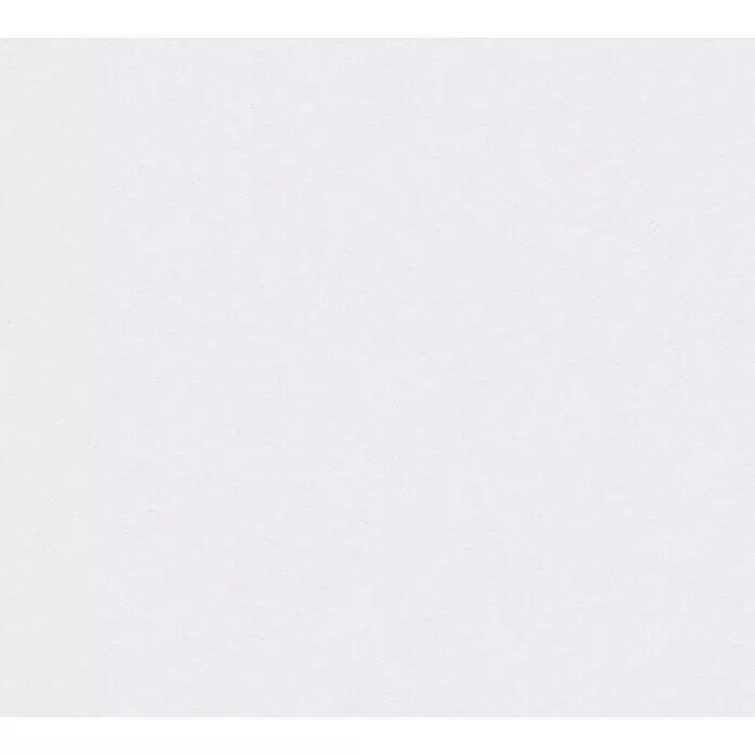 A.S. Création Dämmtapete ThermowallL x B x S: 10,05 m x 0,53 m x 1 mm, Weiß