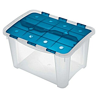 Terry Caja con tapa Home Box (L x An x Al: 32,2 x 28 x 46,5 cm, Con tapa, Plástico)