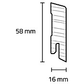 Sockelleiste I (240 x 1,6 x 5,8 cm, Kiefer) | BAUHAUS