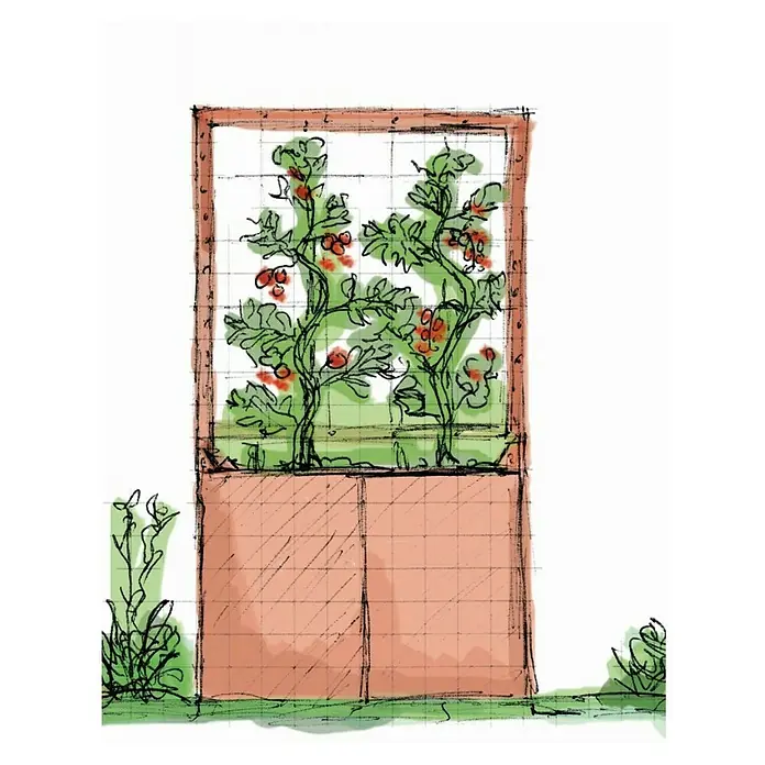 Palatino Hochbeet Home of Tomatoes - 100 x 100 x 183 cm, Cortenstahl, Rostbraun - Visualisierung eines Pflanzgefäßes mit Spalier, an dem Tomatenpflanzen hochranken, ideal für den Anbau auf kleinem Raum oder auf dem Balkon.