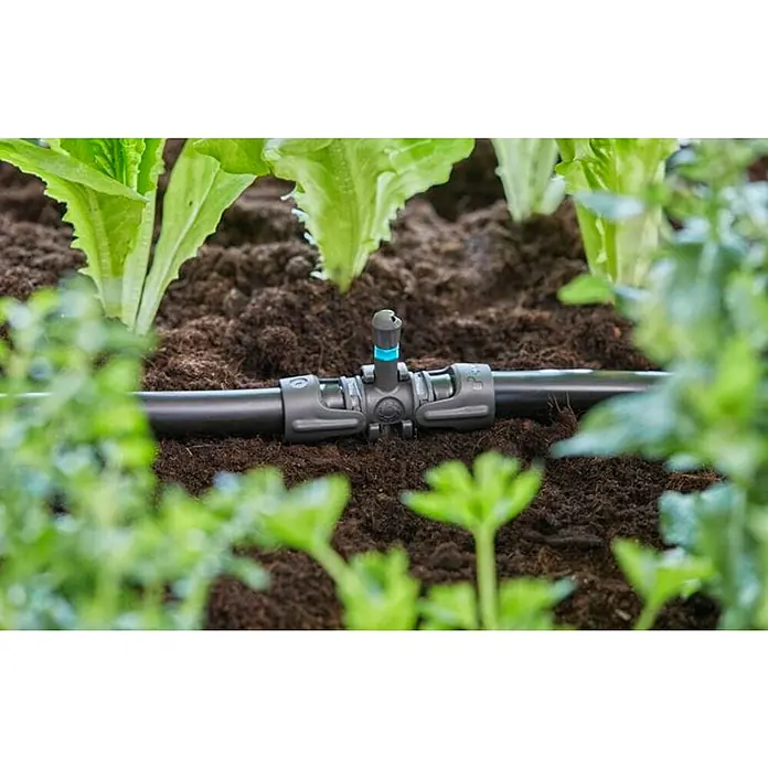 Gardena Micro-Drip Pieza T Derivador - ½″, 4 ud. - Primer plano de un sistema de riego por goteo con emisor, instalado entre plantas de lechuga en el huerto, destacando el riego eficiente.