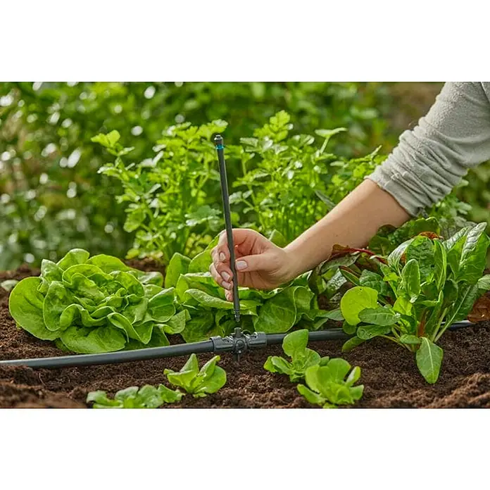 Gardena Micro-Drip Pieza T Derivador - ½″, 4 ud. - La imagen muestra la instalación de un sistema de riego de jardín. El sistema ayuda a regar las plantas de manera eficiente y ahorrar agua.