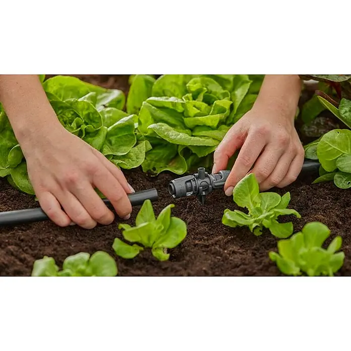 Gardena Micro-Drip Pieza T Derivador - ½″, 4 ud. - Primer plano de una persona que instala un sistema de riego por goteo para lechugas jóvenes en un parterre.