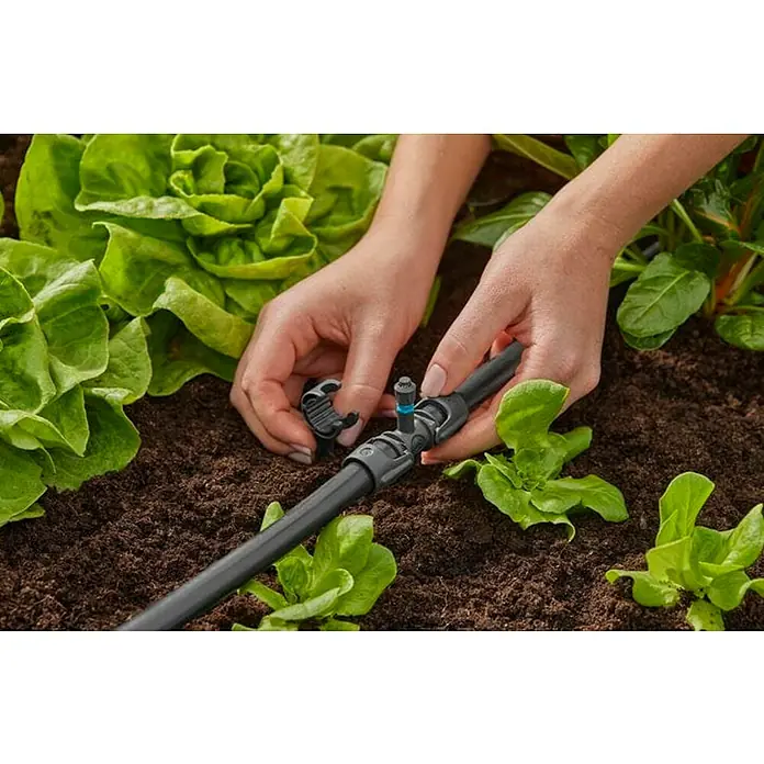 Gardena Micro-Drip Pieza T Derivador - ½″, 4 ud. - Primer plano de una persona instalando un sistema de riego en un jardín con plantas de lechuga verdes, centrándose en los accesorios de conexión.