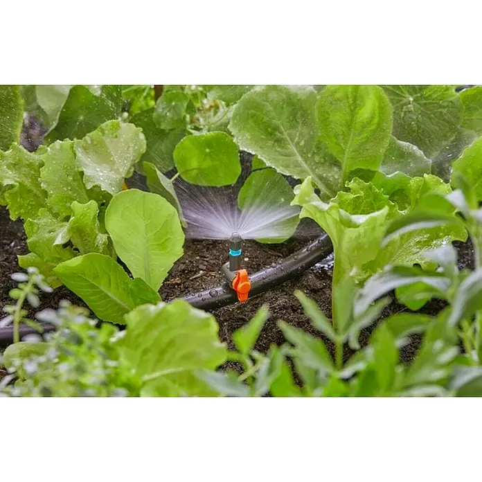 Gardena Micro-Drip Válvula de regulación - 3/16" x 4,6 mm, 4 ud. - Primer plano de un aspersor en un jardín, regando plantas de lechuga con un sistema de riego eficiente para una distribución uniforme del agua.