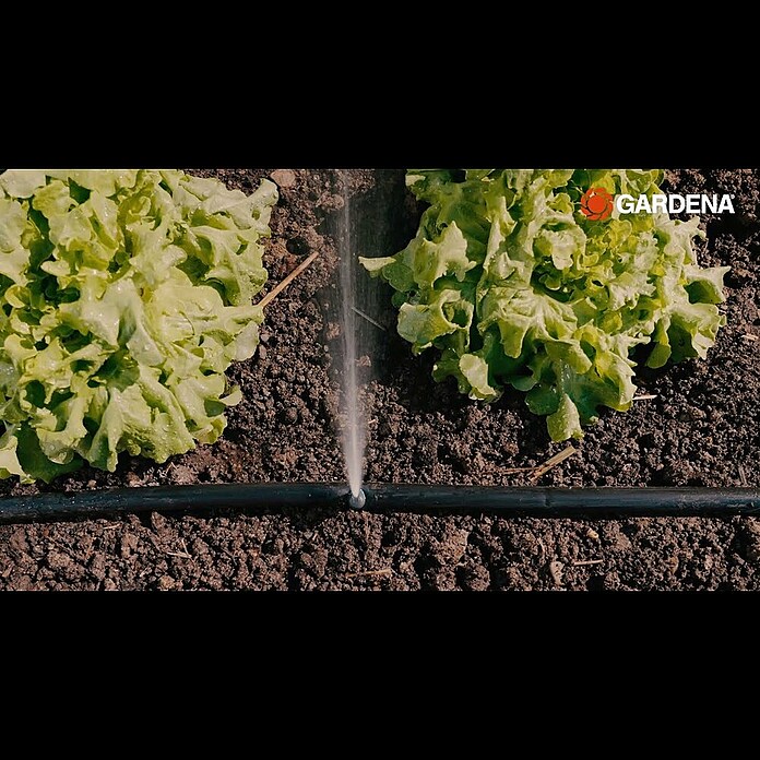 Gardena 136729 Micro-Asperseur 180° d'arrosage Goutte à Goutte Gardena 136729 Micro-Asperseur 180° d'arrosage Goutte à Goutte