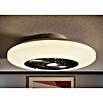 Voltomat Deckenventilator mit LED-Beleuchtung (Silber, Weiß, 60 cm, 40 W, Warmweiß) | BAUHAUS