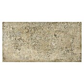 Terrassenfliese Baldo 2.0 (39,7 x 79,7 x 2 cm, Beige/Braun, Matt) | BAUHAUS