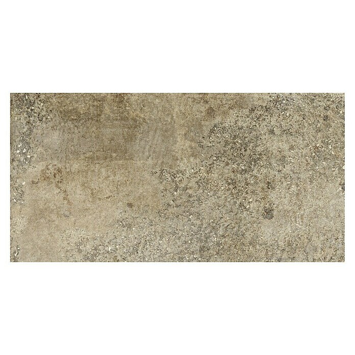 Terrassenfliese Baldo 2.0 (39,7 x 79,7 x 2 cm, Beige/Braun, Matt) | BAUHAUS